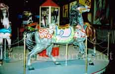 Circus Hall Of Fame, Sarasota